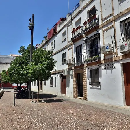 New Tierra Andaluza Junto Mezquita דירה *