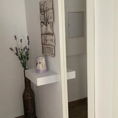 New Tierra Andaluza Junto Mezquita