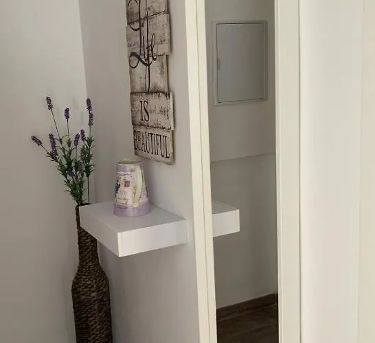 New Tierra Andaluza Junto Mezquita